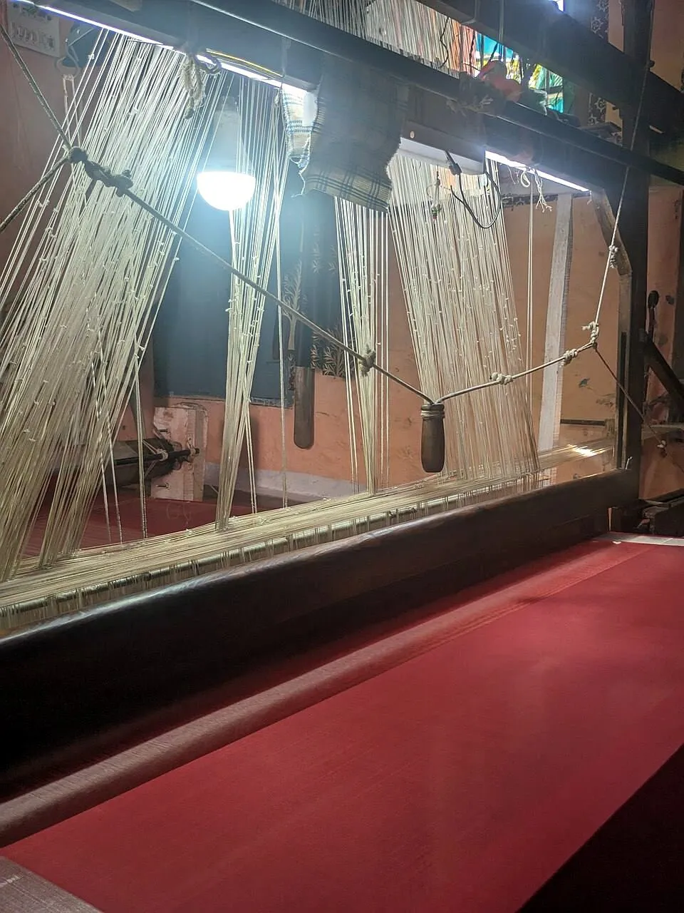 Warp threads under tension on the loom