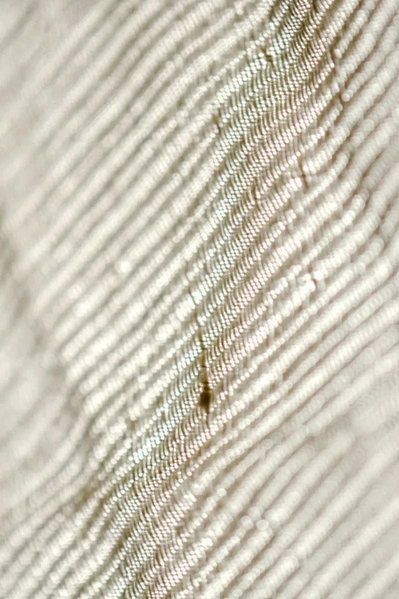 Crisp plain-weave cotton, close detail